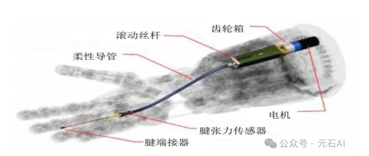 BWS | 第十五期沙龙分享——人形机器人核心执行末端灵巧手